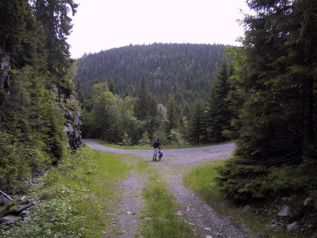 Veikryss på Pipenhusveien