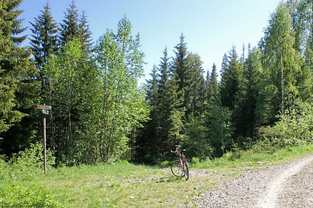 Veiskille ved Heggsjø