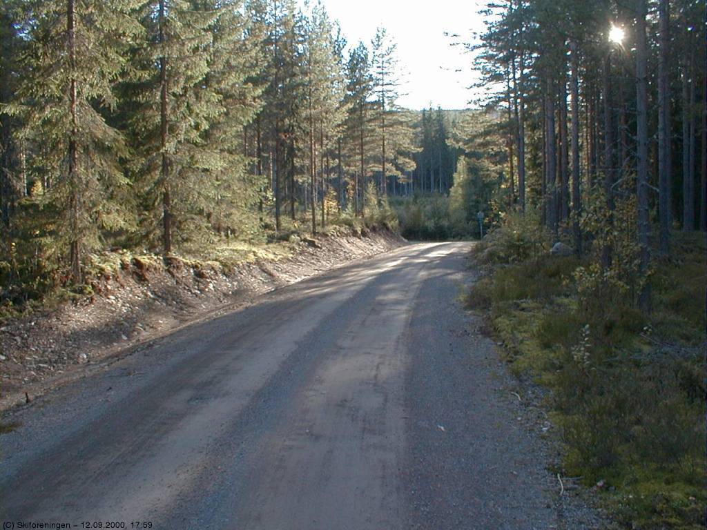 Veivalg: Enten til Gjerdingen eller Daltjuven