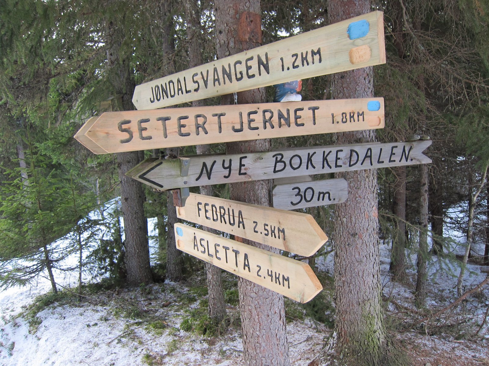 Veivalg fra Bokkedalen