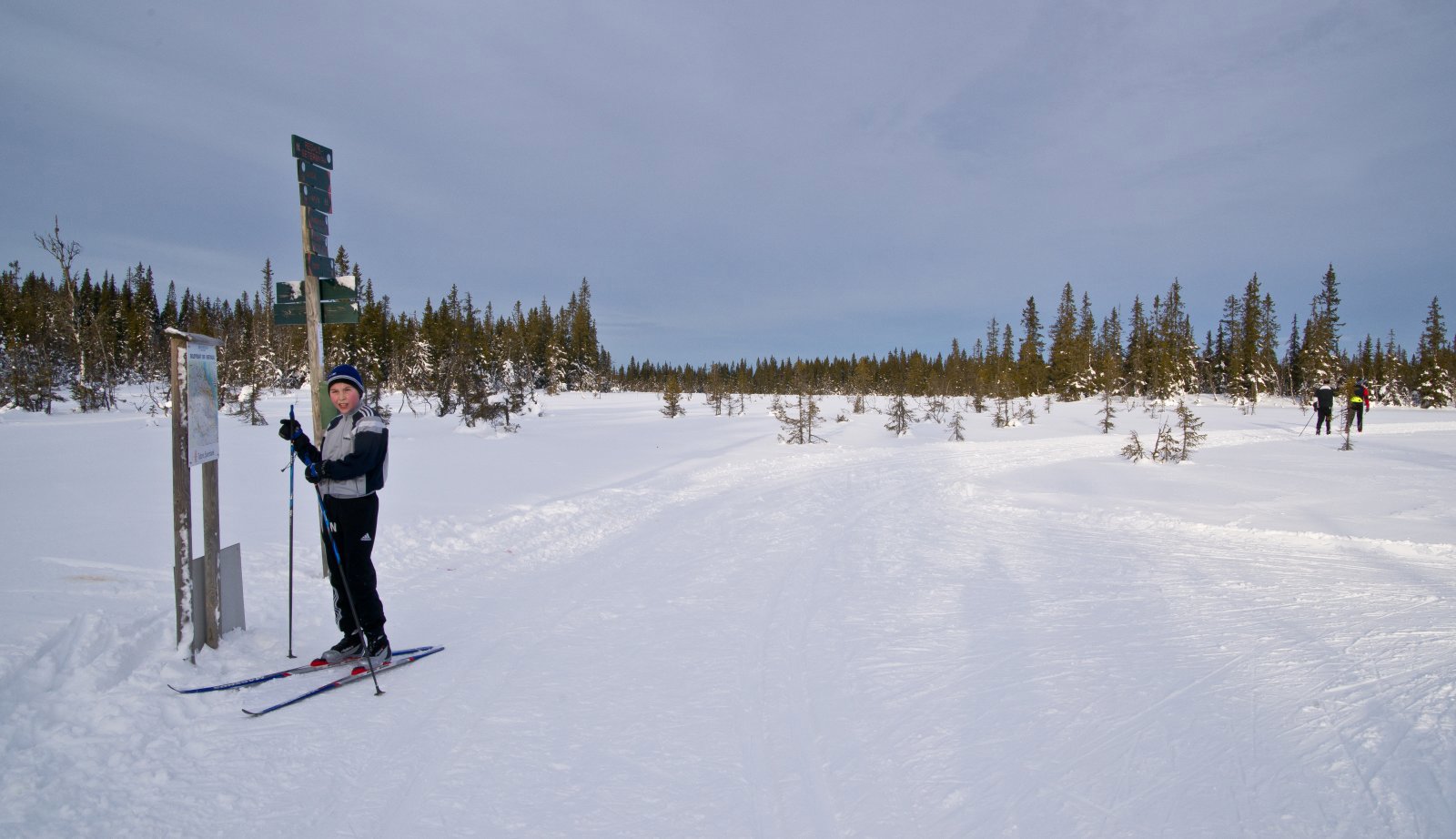 Veivalg på Redalsætermyra