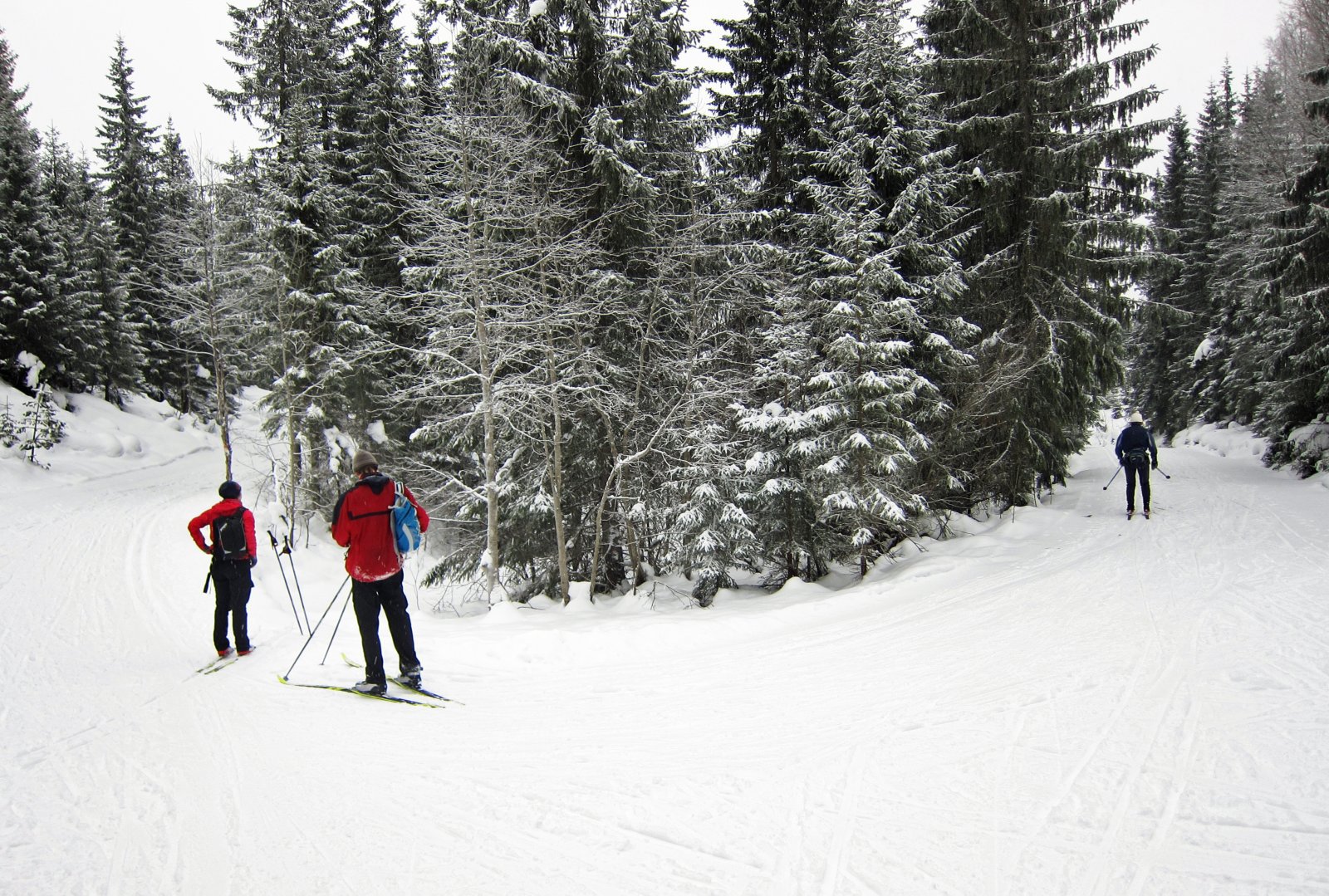 Veivalg ved Fjellseterbommen