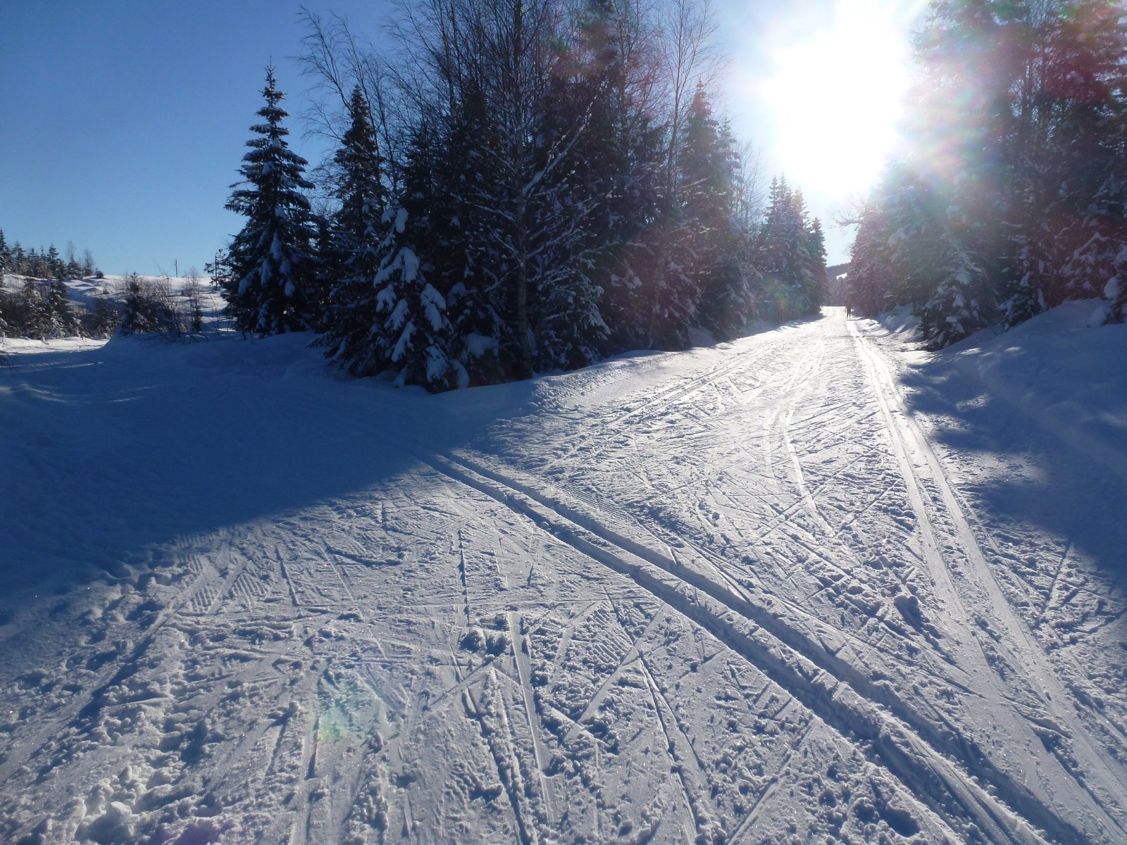 Veivalg ved Kjønstadlistua