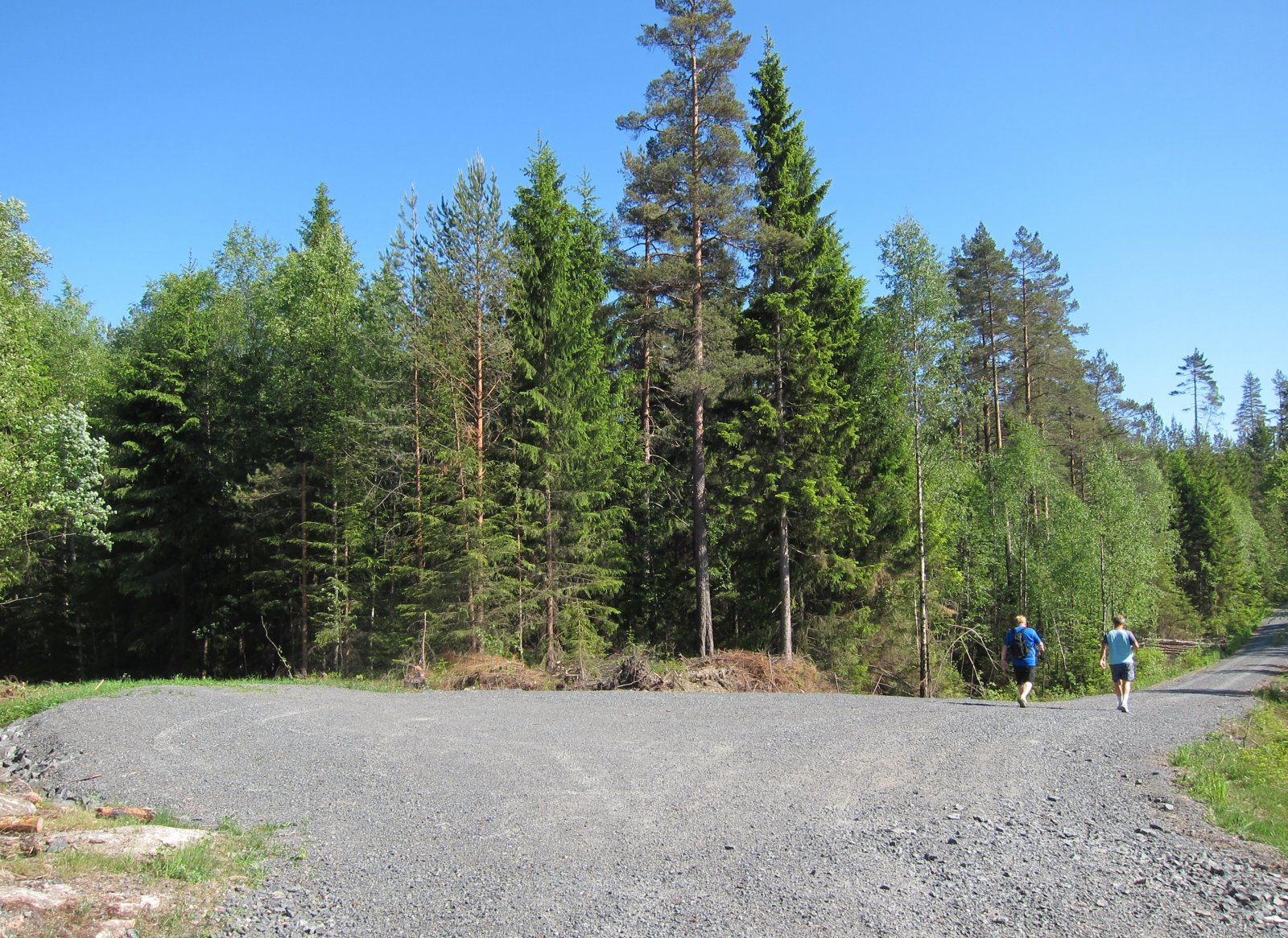 Veivalg ved Nøklemyr