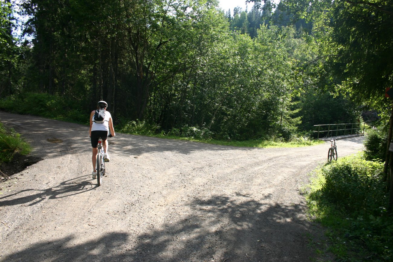 Veivalg ved Tverrelva