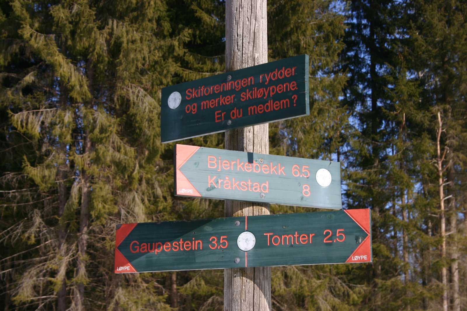 Veivalg ved Tyrihjellen