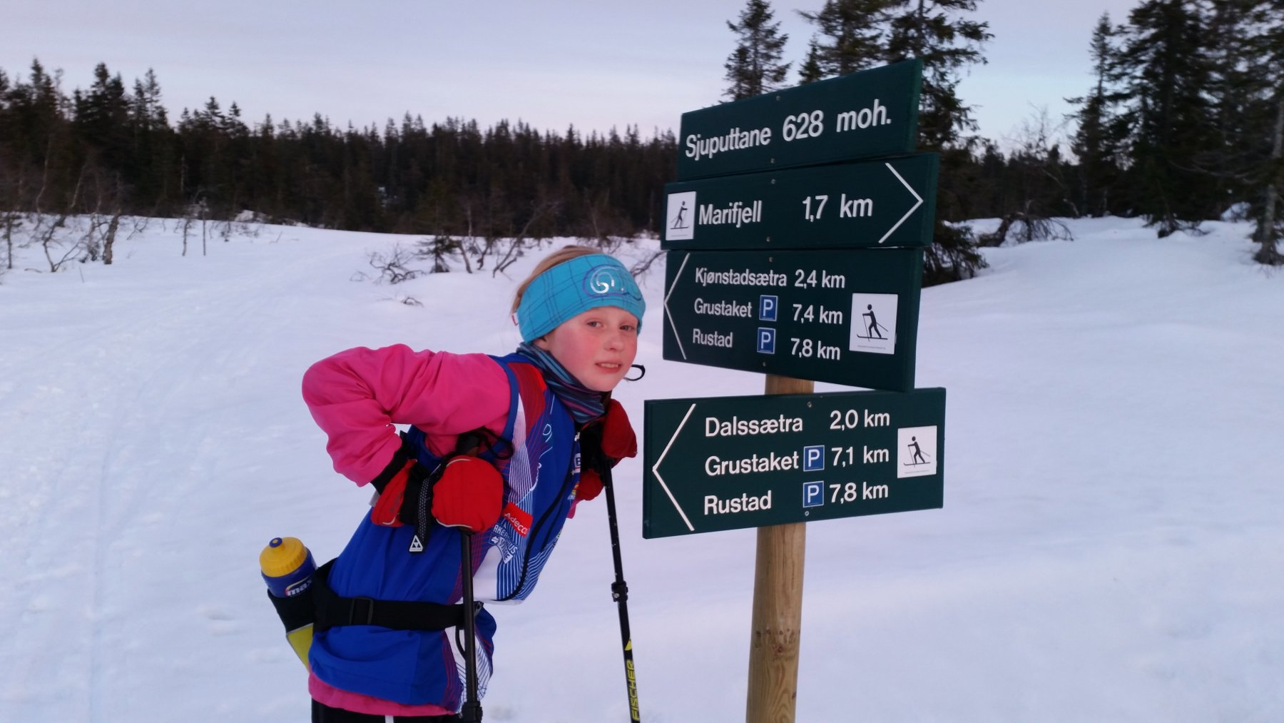 Veivisere ved Sjuputtane