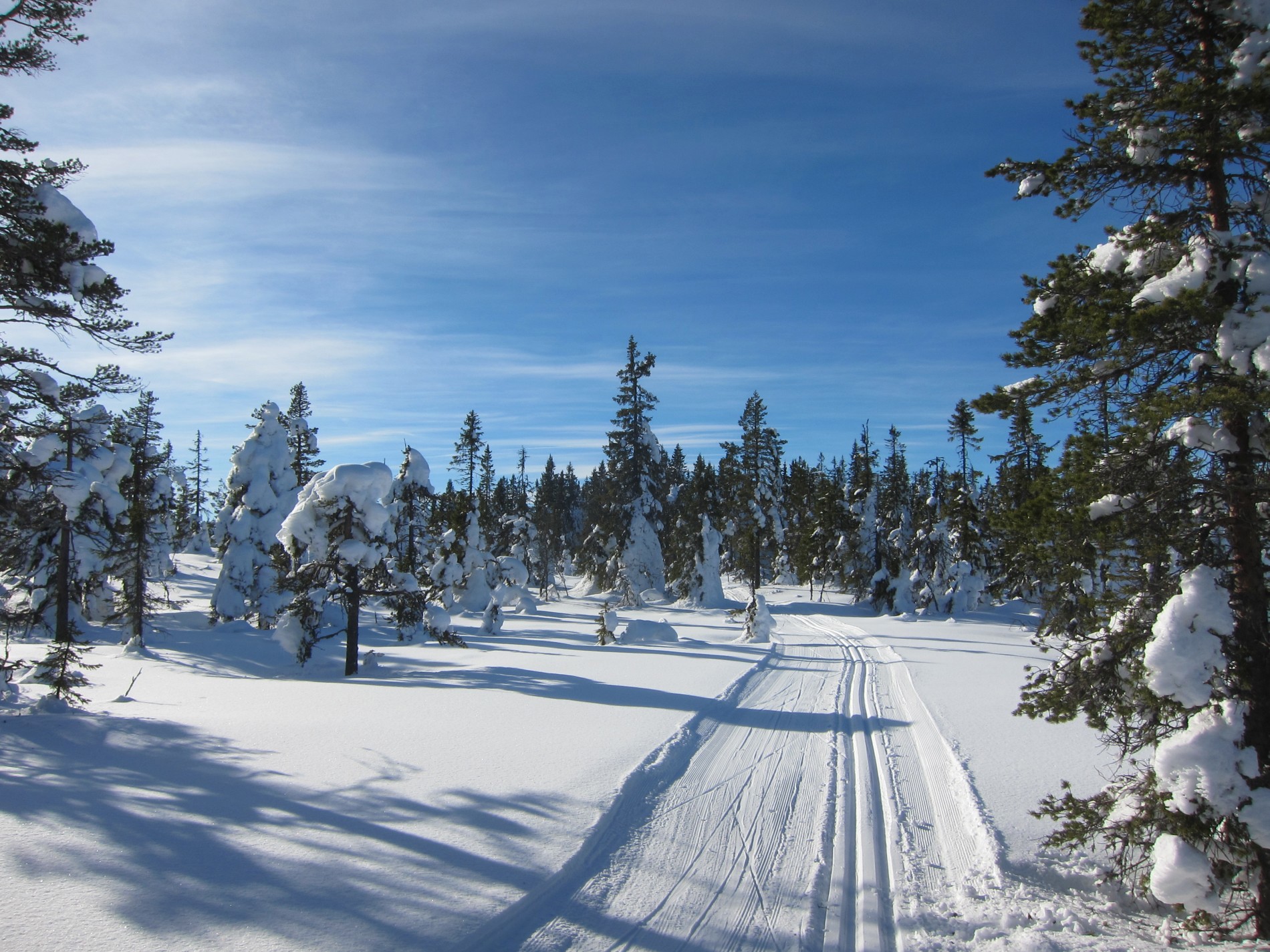 Vel oppe på Glåmhaugen
