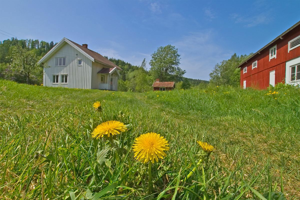 Velkommen til Kjaglienga!