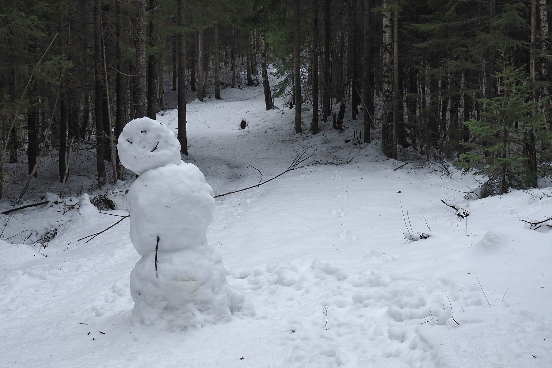 Velkommen til Slottsberget