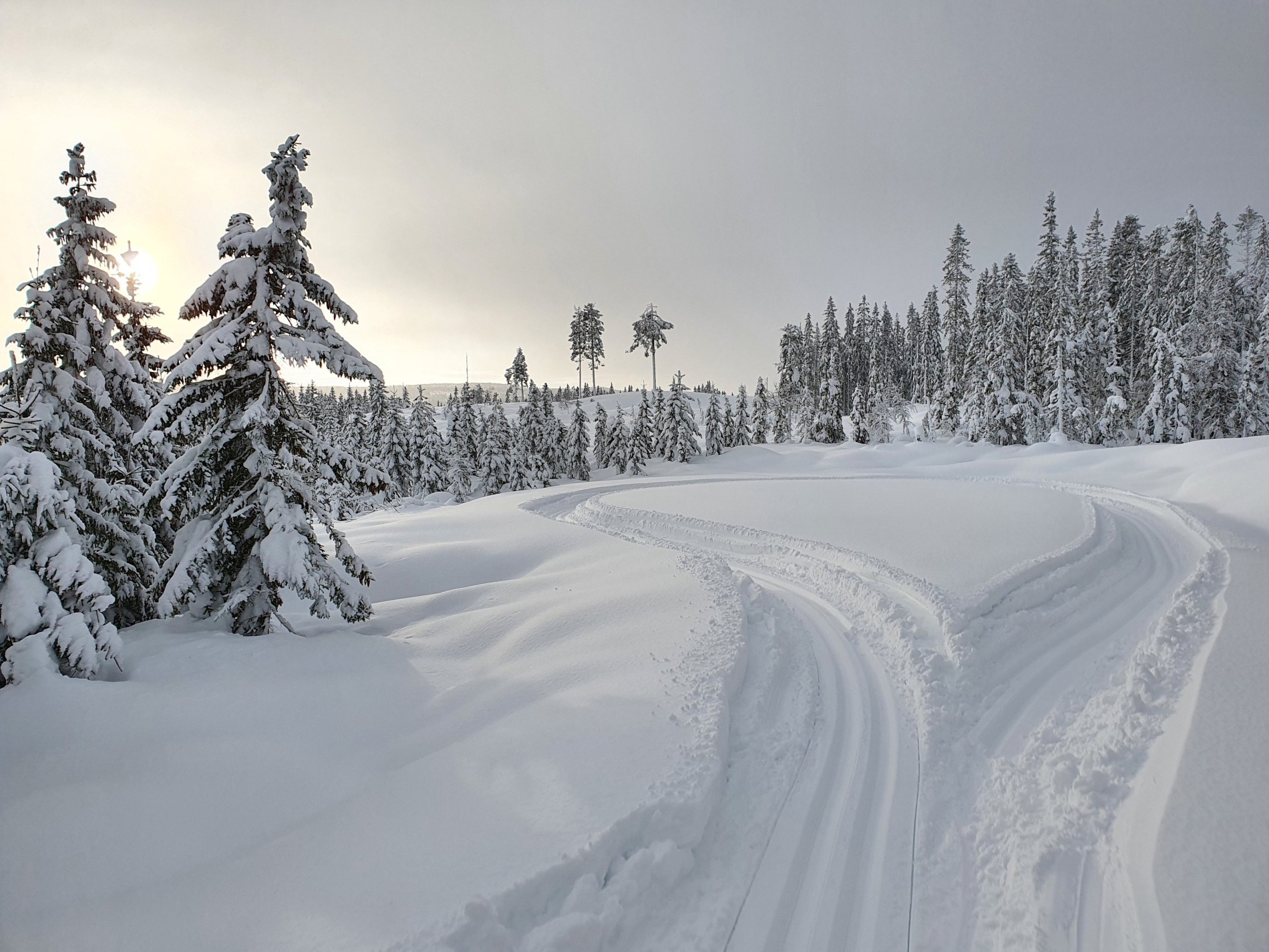 Vending for scooteren