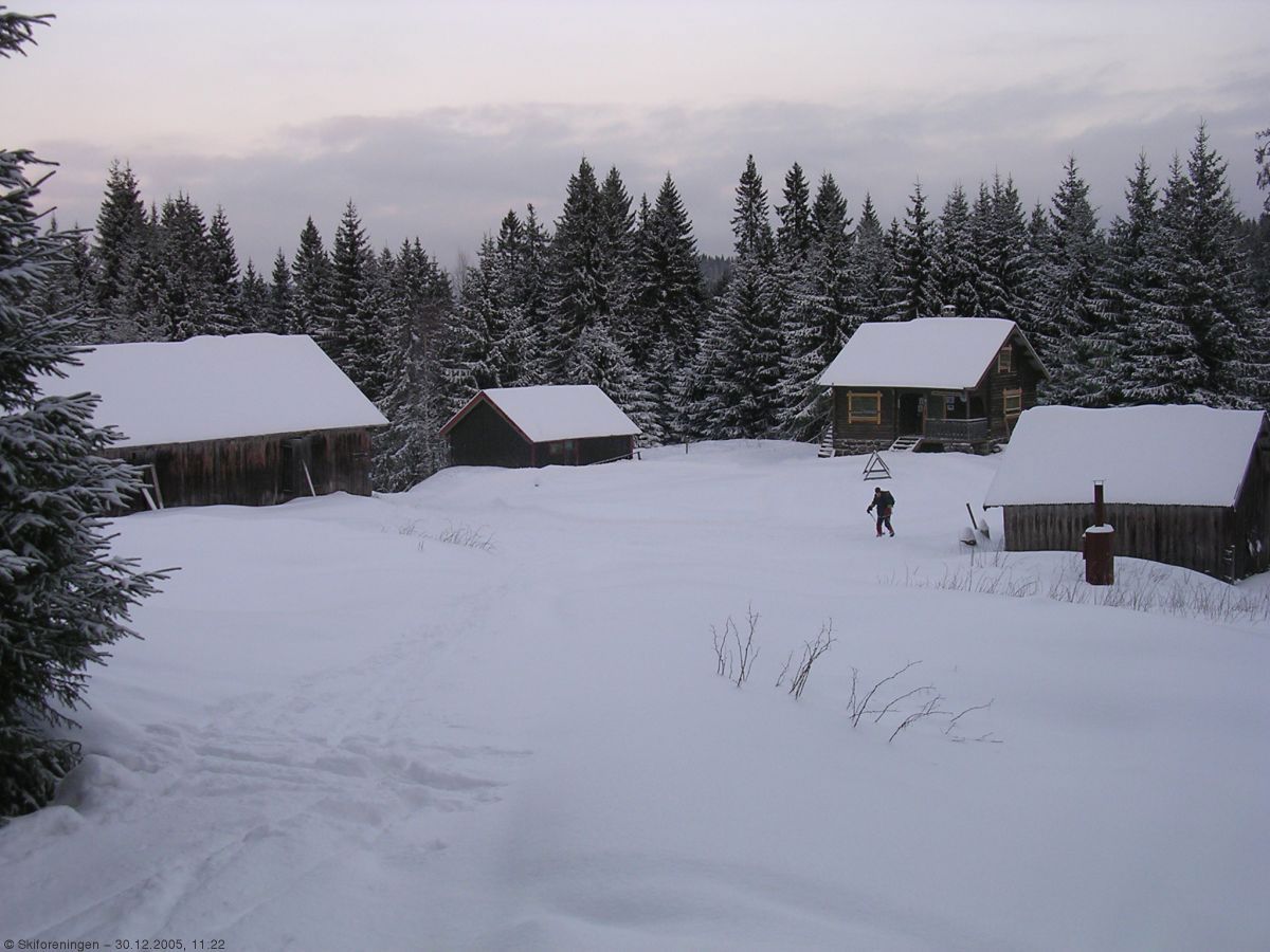 Vensåsseter på årets nest siste dag