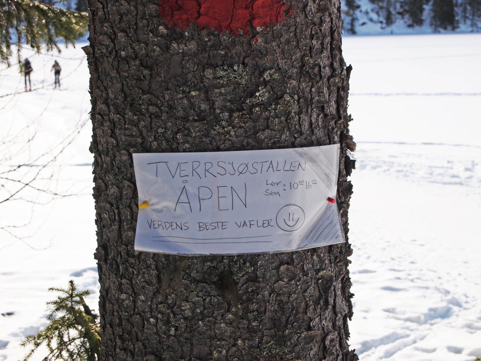 Verdens beste vafler?