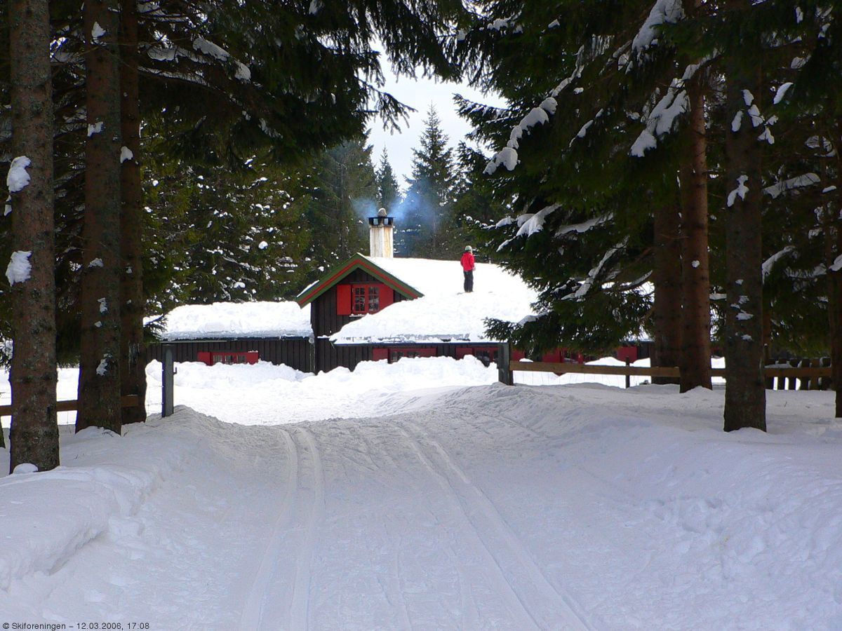 Vestlia er nesten begravet i sneen