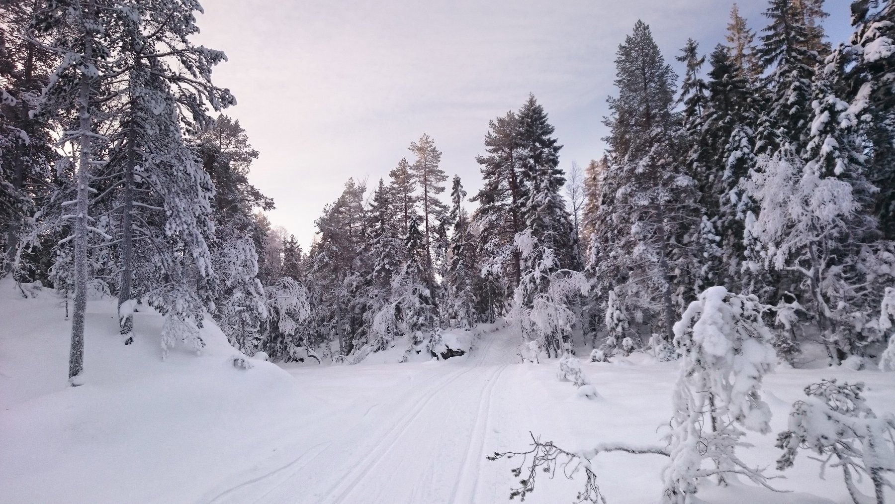 Vestover fra Østernmyra