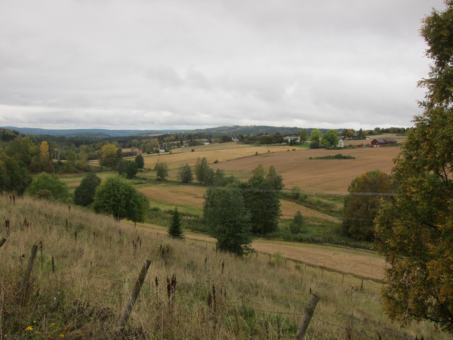 Vestover langs Grindvollinna