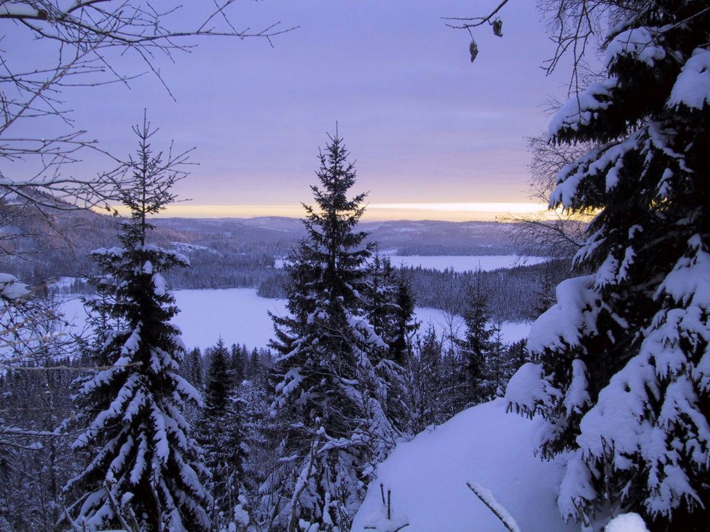 Vestre og Østre Fyllingen fra uvant vinkel