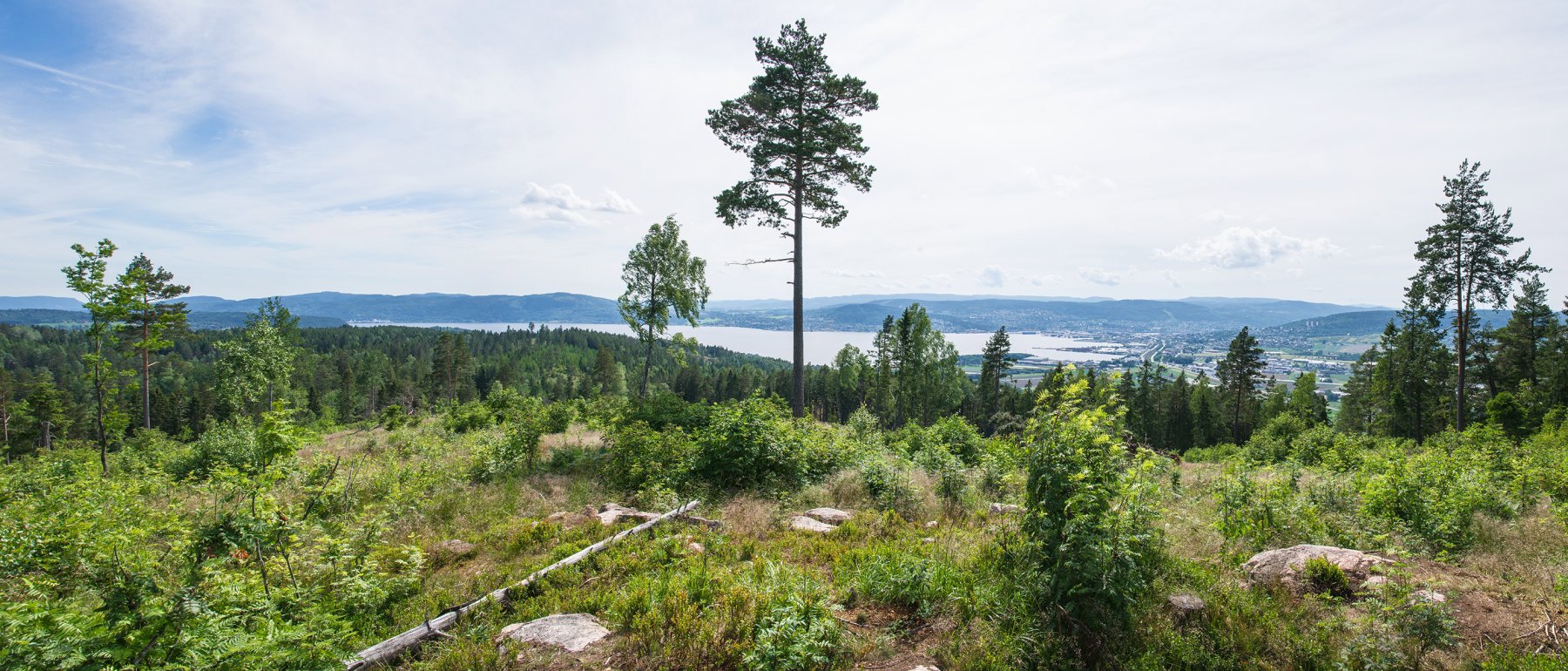 Vid utsikt mot Drammensfjorden