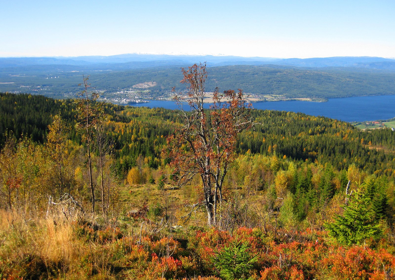 Vidt skue fra Lamannshaugen