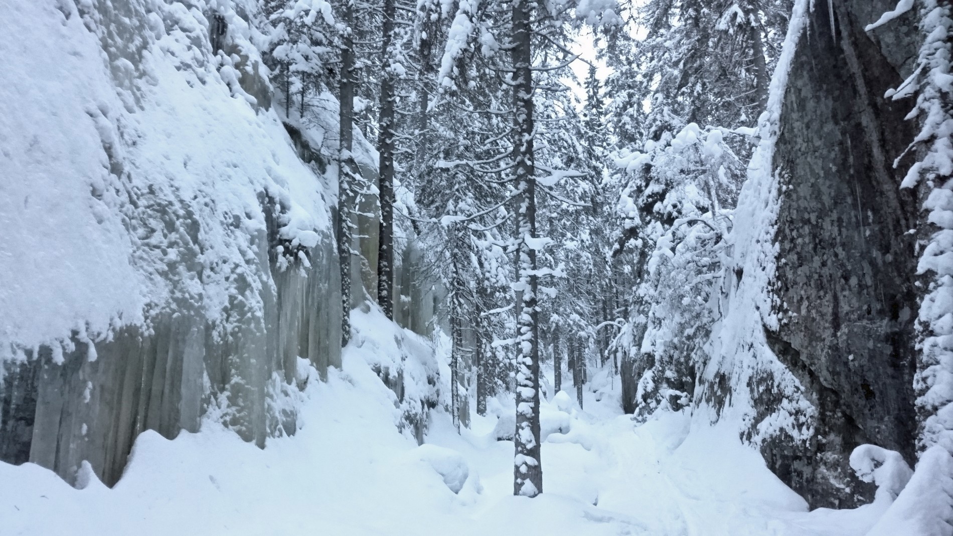 Vilt, smalt og vakkert i Svartdalen