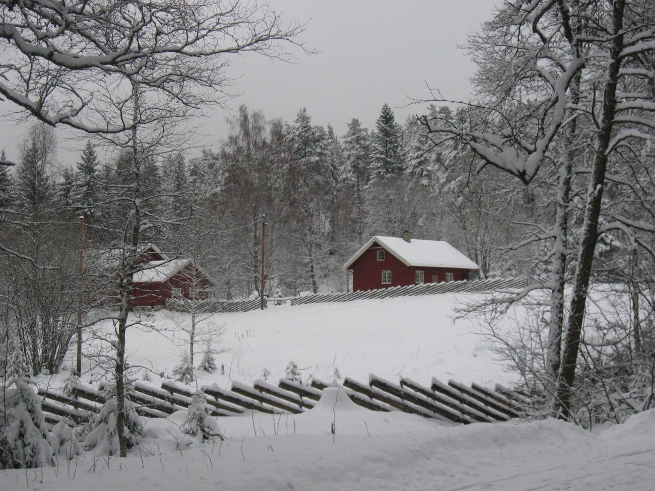 Vinter i Østmarka