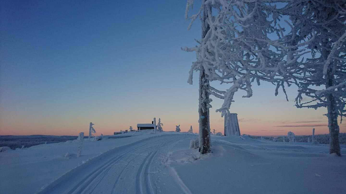 Vinter på Rognlihaugen