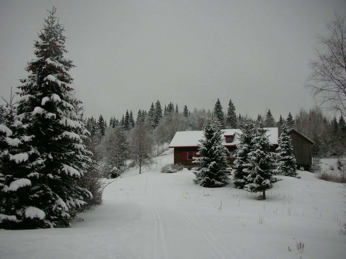 Vinter på Sørskogen