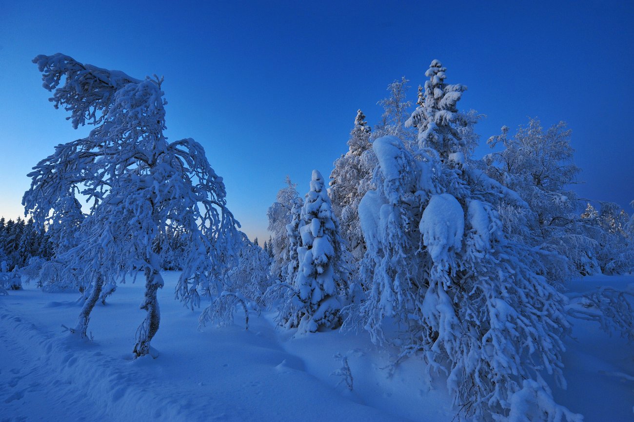 Vinter på Vestergyllen