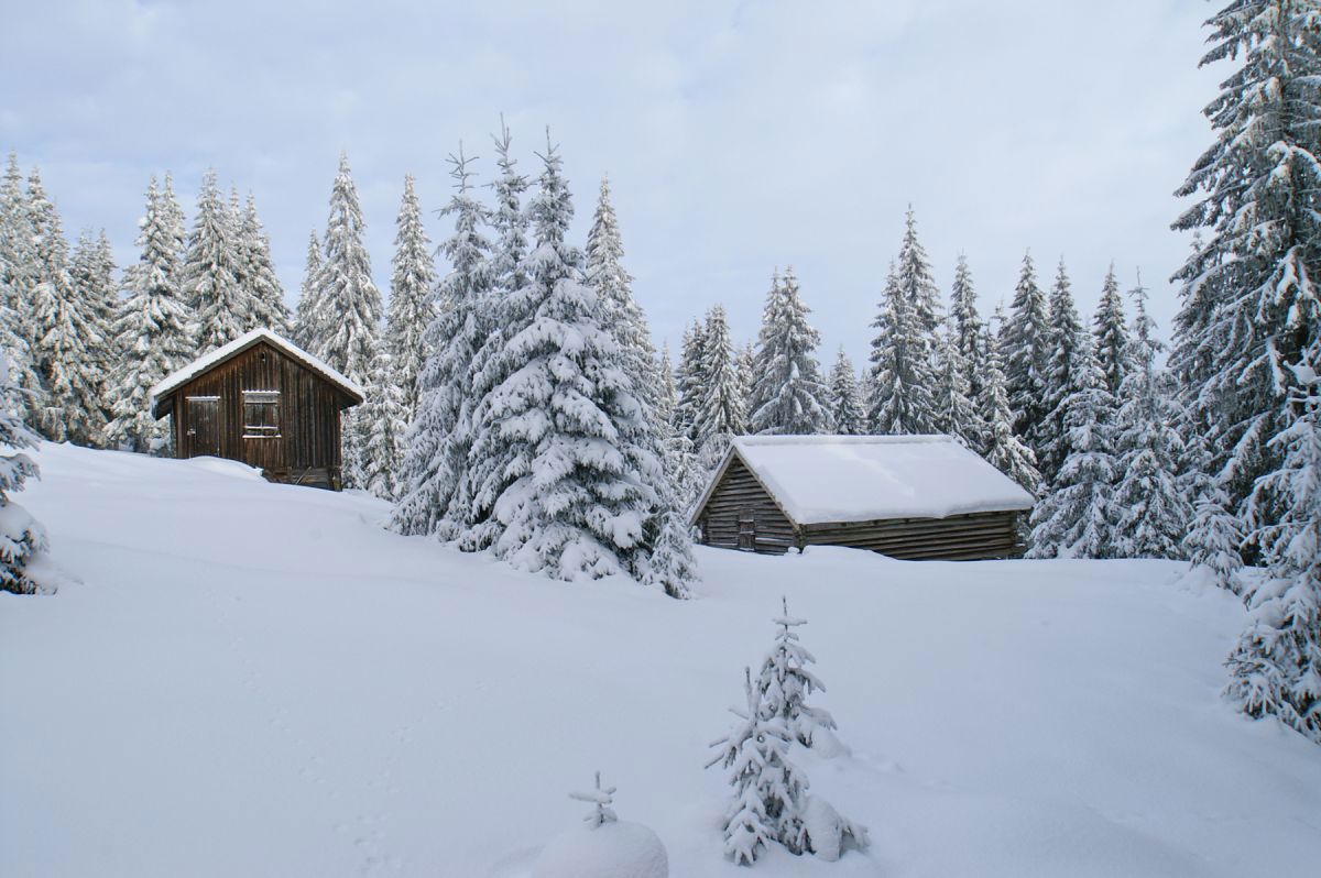 Vinter ved Bislingsetra