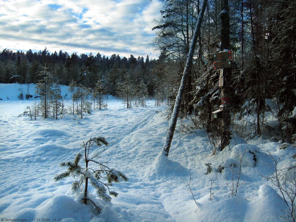 Vinter ved Paradisputten