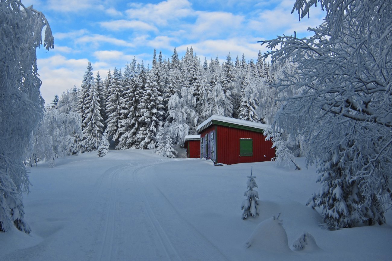 Vinterdag ved Engelstadvangen