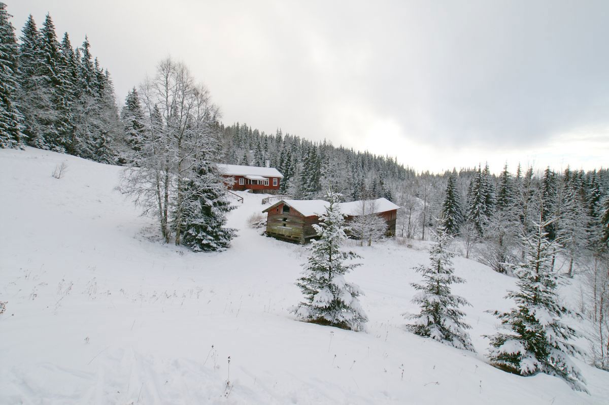 Vinterdag ved Monsebråtan