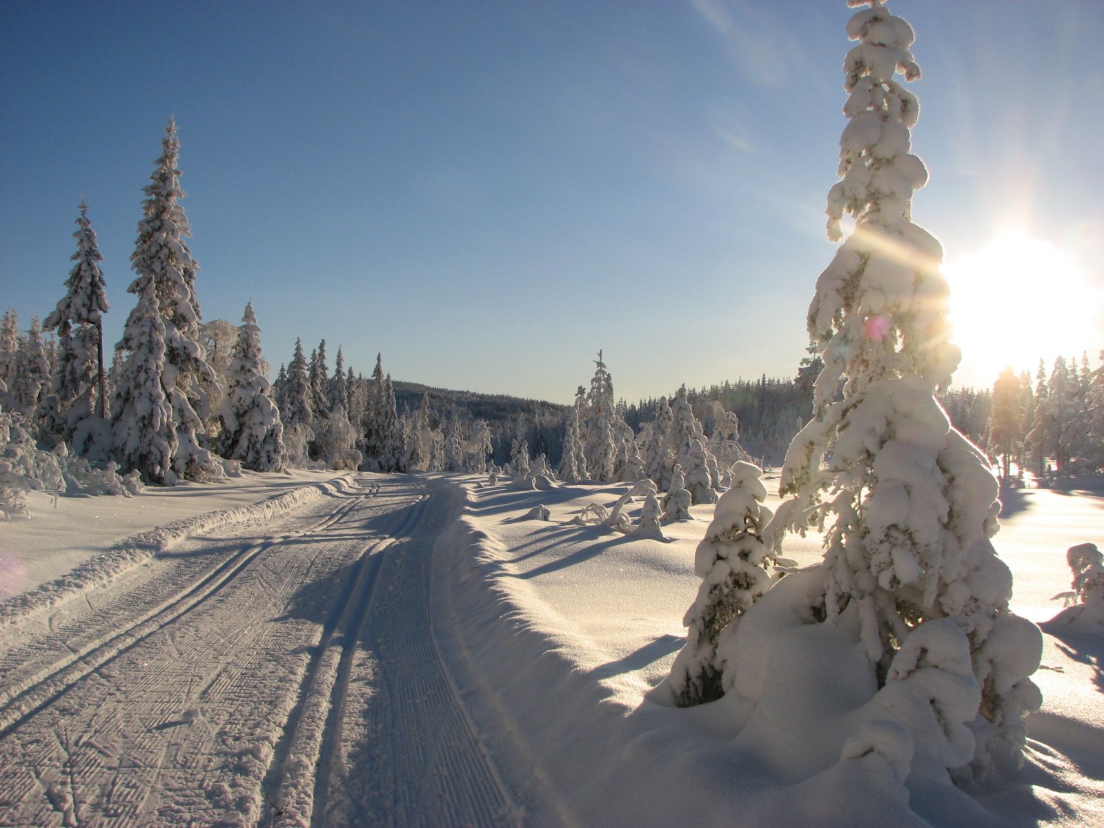 Vintereldorado i Lygna-Svera løypa