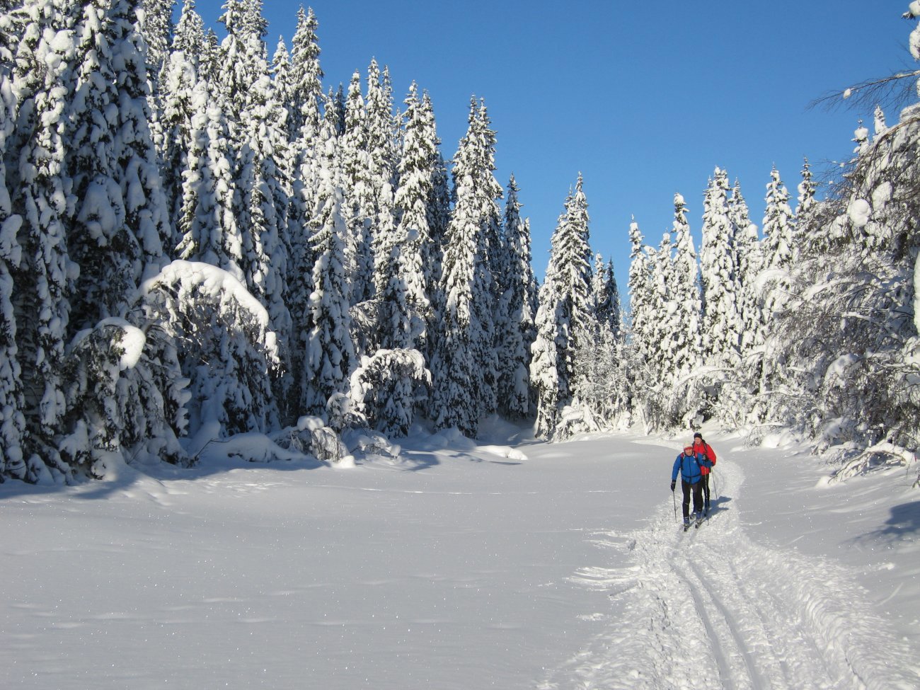 Vinterens flotteste dag så langt ved Spålen