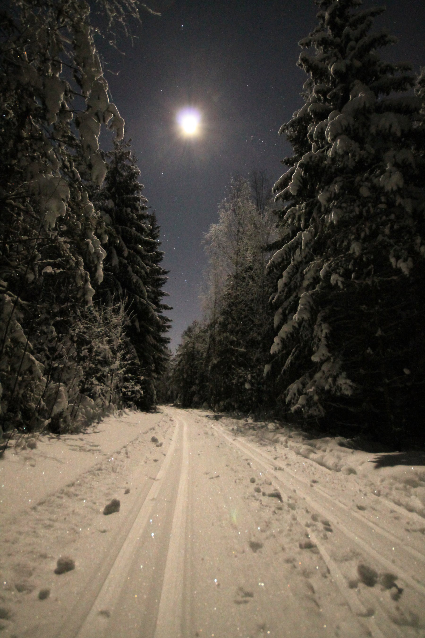 Vintereventyr i måneskinn