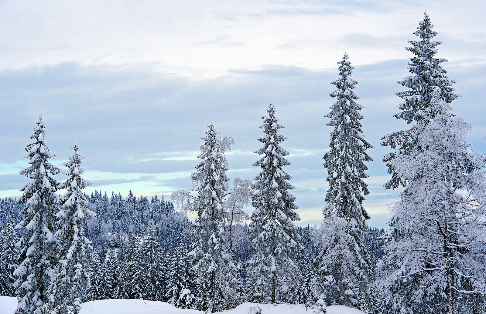 Vinterferievær i vente