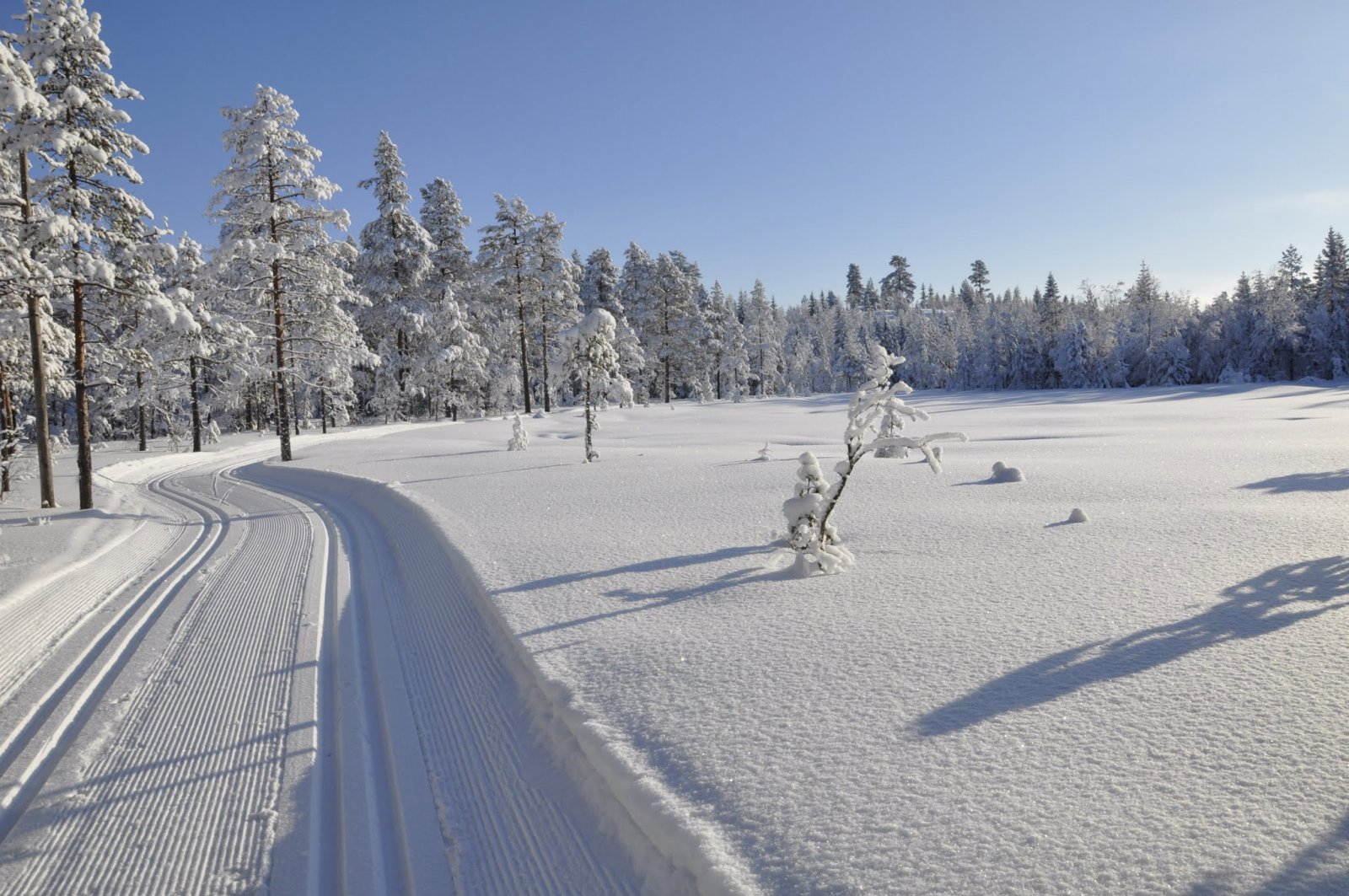 Vinteridyll nord for Raudvatnet