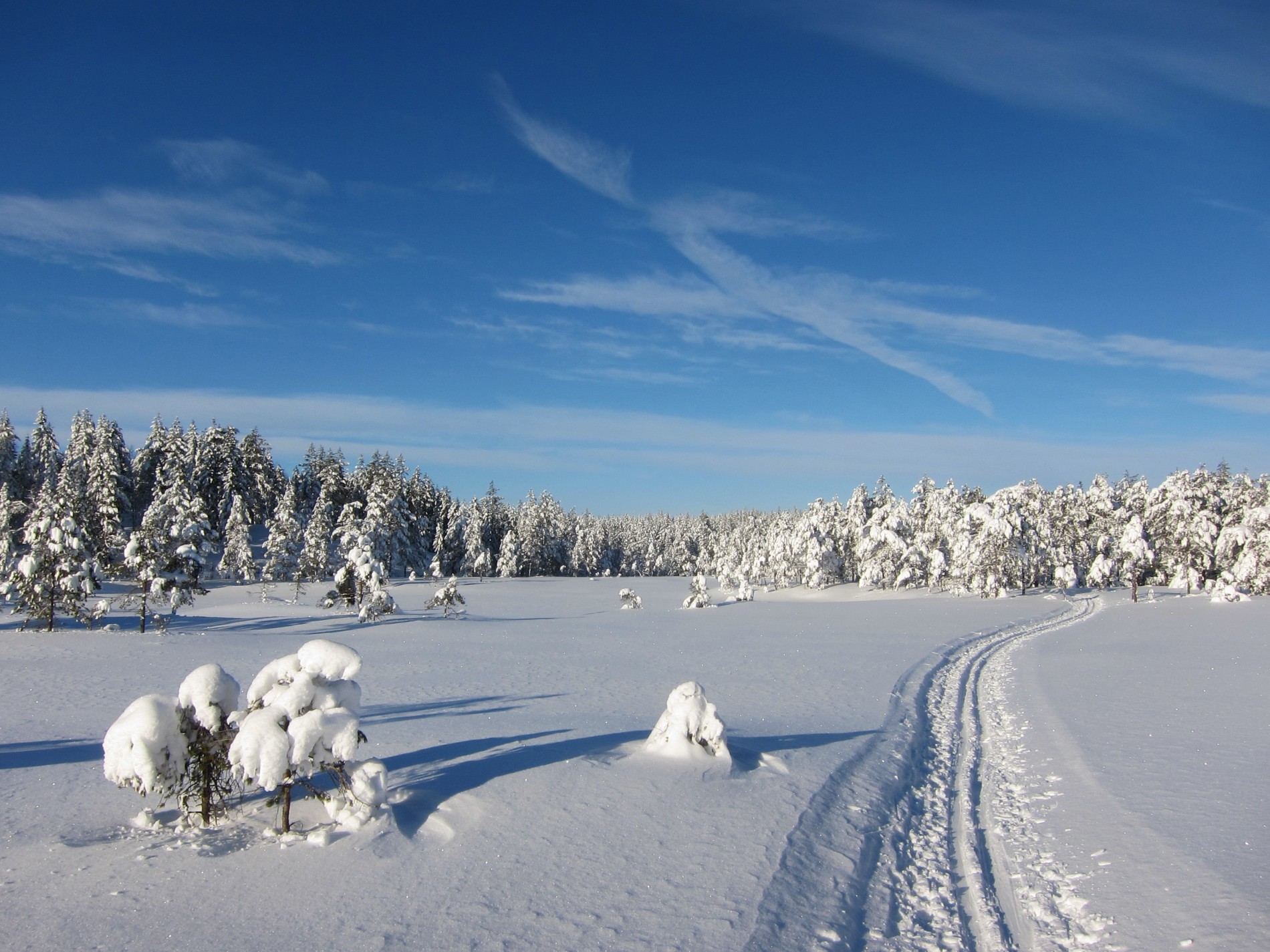 Vinteridyll på Tretjernsmyra