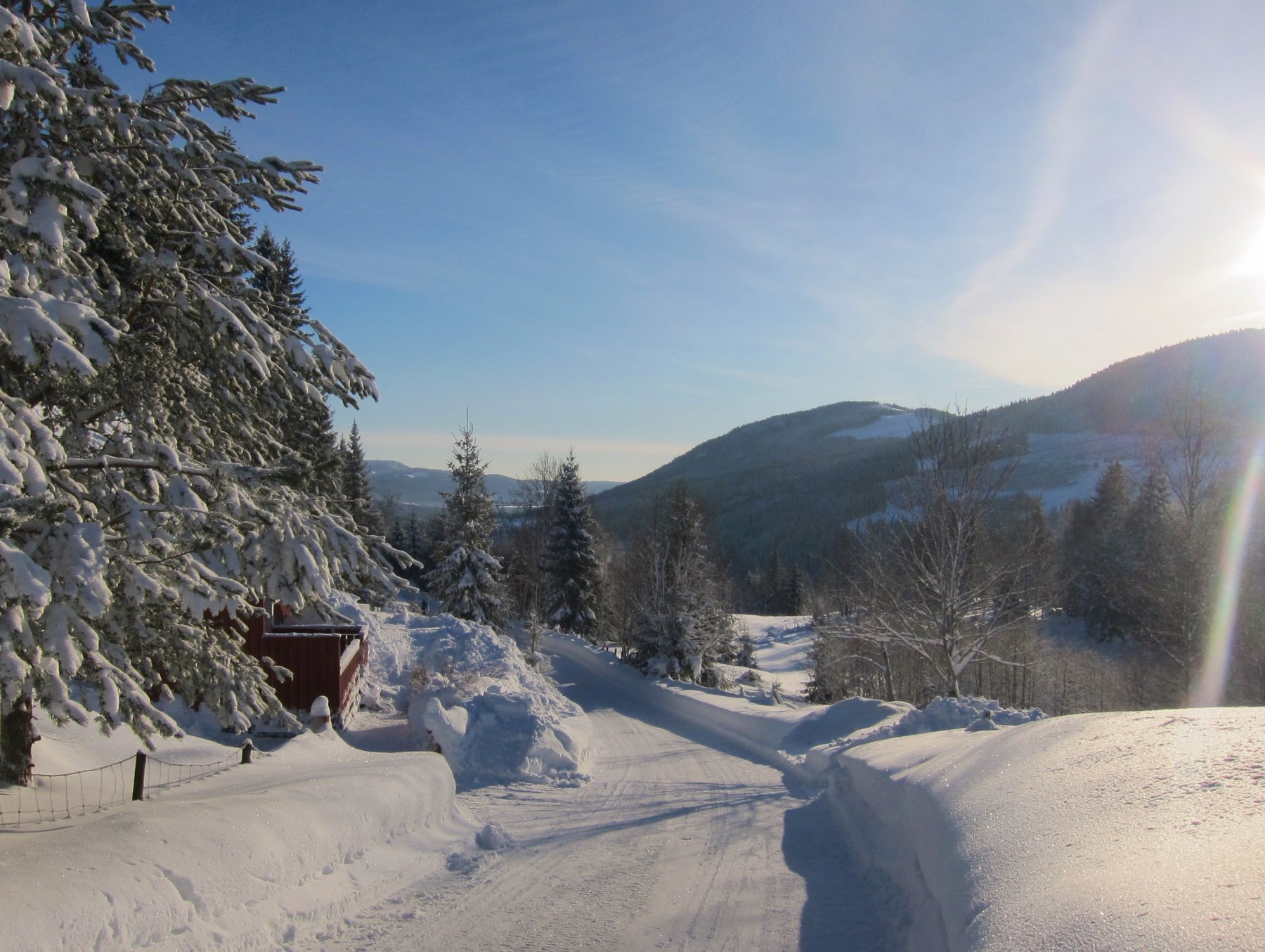 Vinteridyll ved Ospekollen