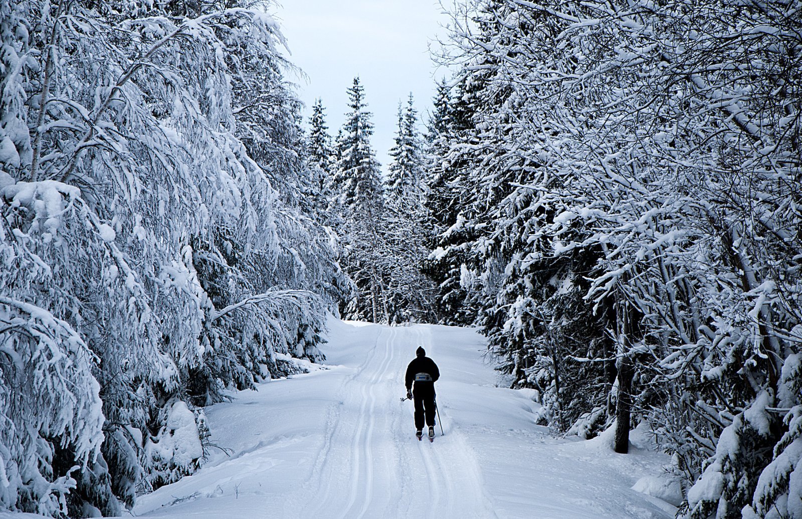 Vinteridyll ved Store Svartungen
