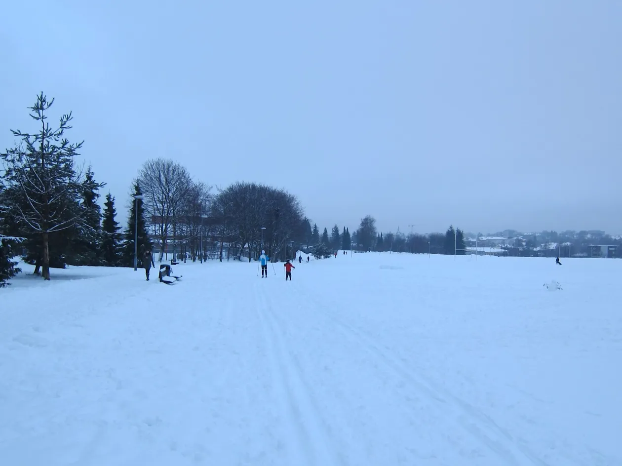 Vinterlandskap i byen Vinterlandskap i byen