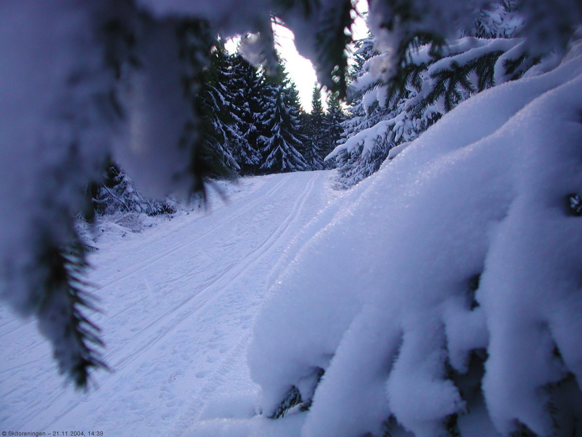 Vinterlandskap i november ved Svartvann