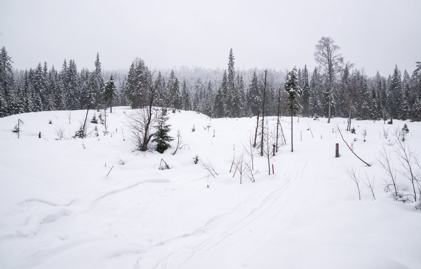 Vinterlandskap ved Bukkebekken