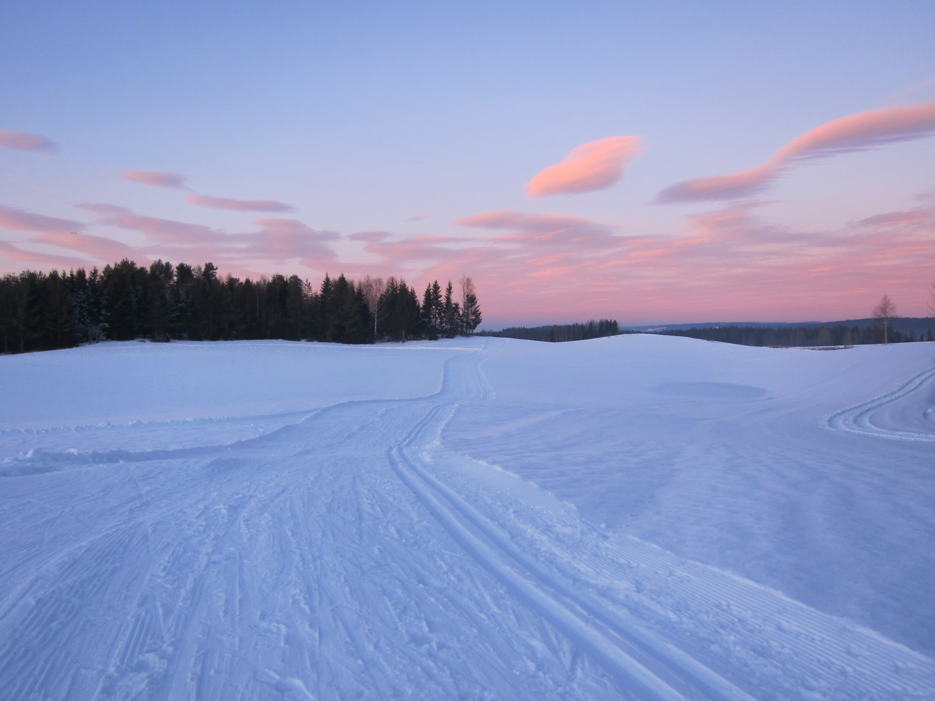 Vinterlandskap ved Moen