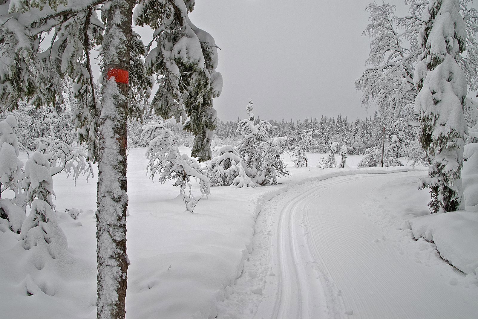 Vinterlig i Treningsrunden