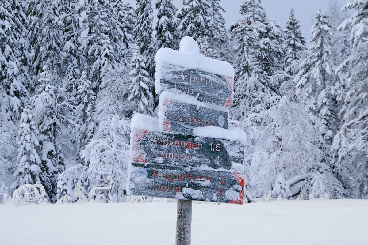 Vinterlig løypeskilt på Dammyra