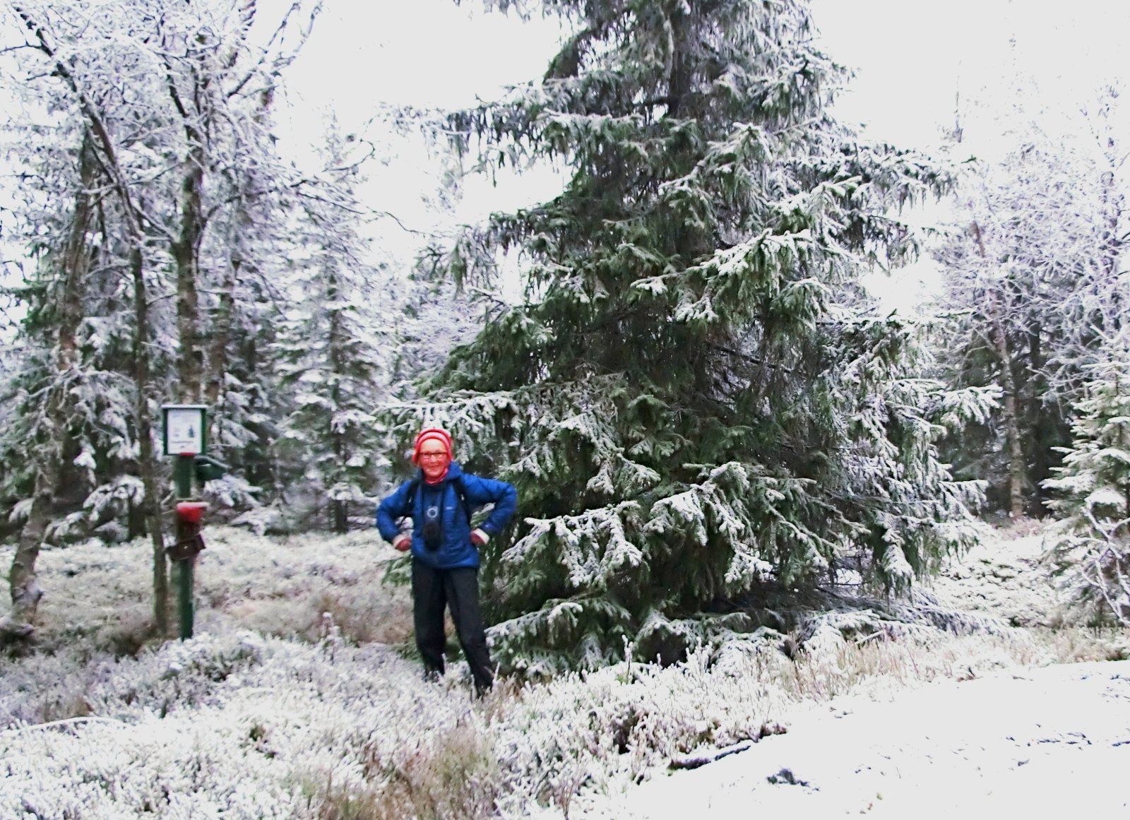 Vinterlig på Almedalshøgdas høyeste punkt (504 moh.)