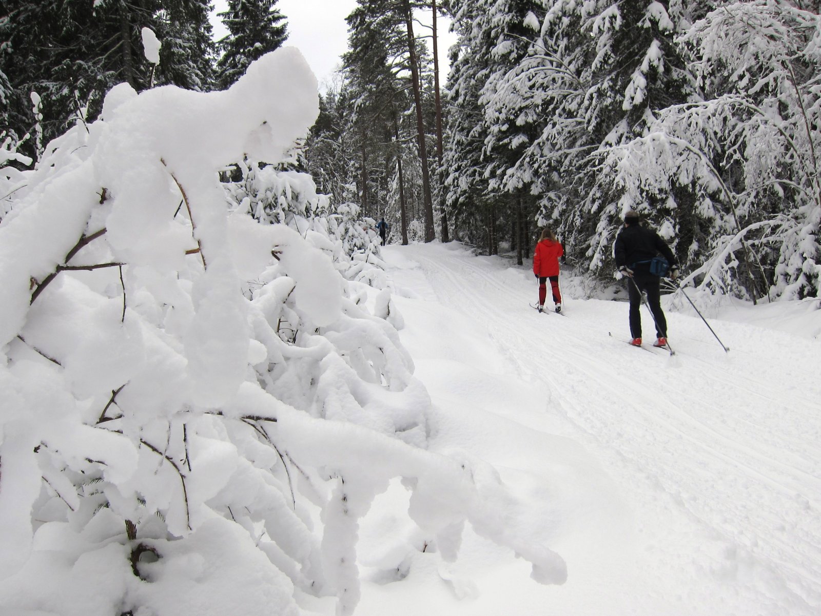 Vinterlig på Vinterveien