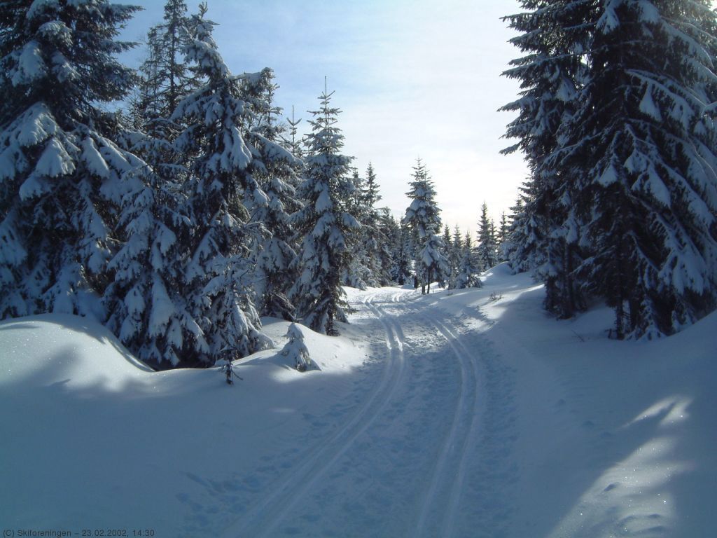 Vinterlig ved Katnosfjellet