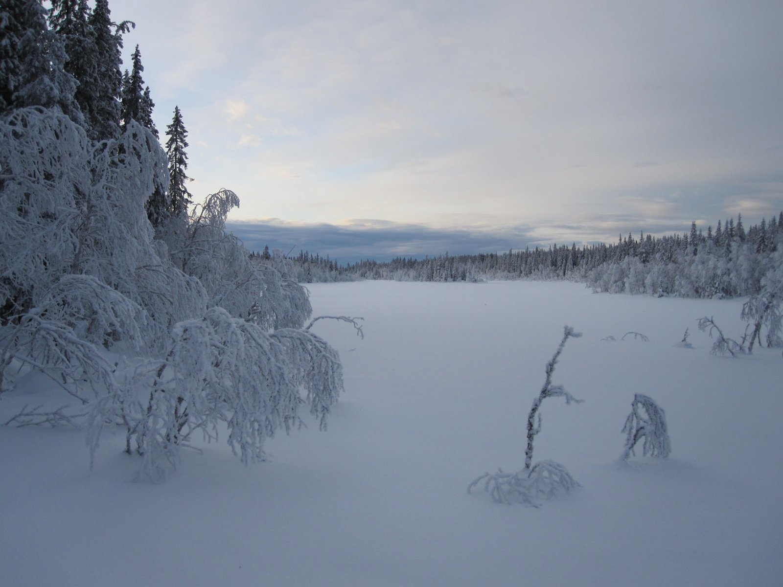 Vinterlig ved Øytjernet